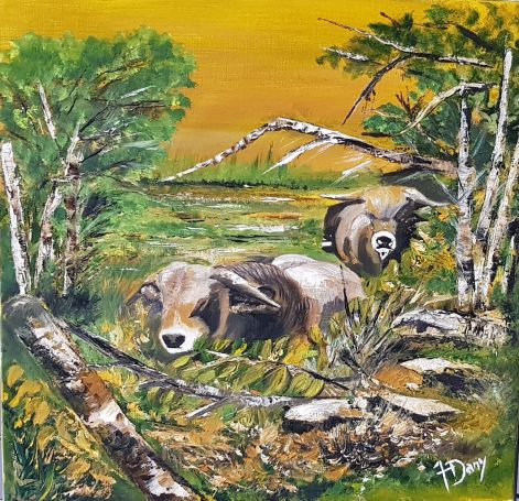 Taureaux de L'Aubrac 38x46 cm - Huile